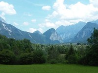 Predstavitev rezultatov študije o izgubi biotske raznovrstnosti