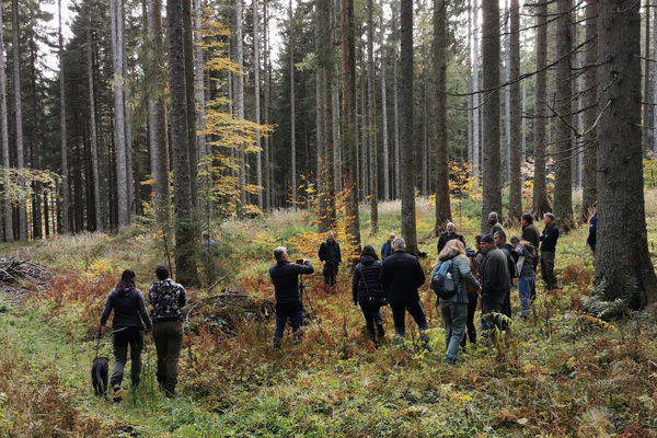 Senzobiografski sprehodi in poglobljeni intervjuji za uskajen razvoj Jelovice