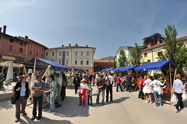 Tolmin nagrajen za občinsko politiko