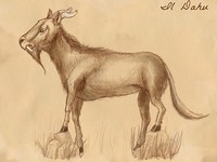 V severni Italiji opazili dahuja!