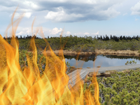 Vabilo na Ogenj v Alpah 2023 "Klic k solidarnosti in klic k razumu"