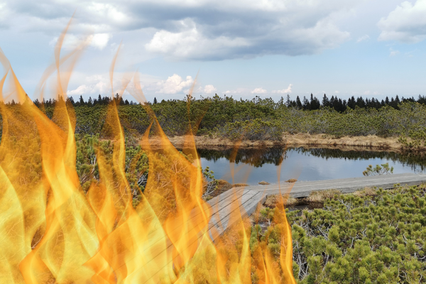 Vabilo na Ogenj v Alpah 2023 "Klic k solidarnosti in klic k razumu"