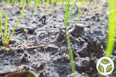 Varčujemo z zemljišči, rešujemo tla!