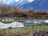 Z množičnim financiranjem do zemljišč