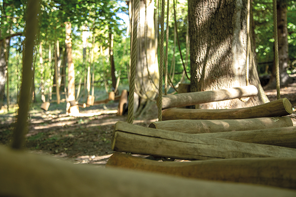 Občinski proračun na razglednici