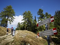 Morje podatkov v gorskem turizmu